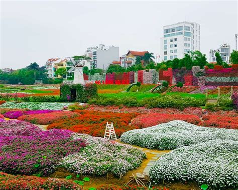 Thung Lũng Hoa Nổi Tiếng Với Vẻ Đẹp Tinh Tế và Khắp Nơi Mùa Xuân!