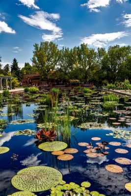 Denver Botanic Gardens: Thiên đường xanh giữa lòng thành phố Denver!