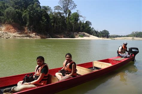 Taman Negara: Rừng Xanh Bạt Ngợp & Hành Trình Khám Phá Hoang Dã!