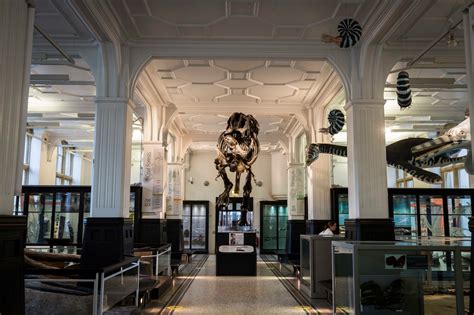 The Manchester Museum: Khám Phá Lịch Sử Và Sự Đa Dạng Của Sinh Thế!